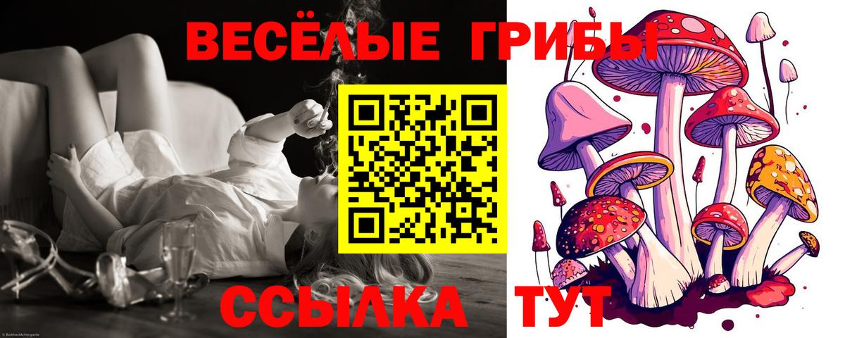 Галлюциногенные грибы GOLDEN TEACHER Барабинск